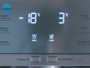 Water and Ice Dispenser