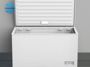 commercial chest freezer