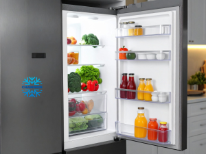 commercial chest freezer,commercial refrigeration sales sydney, commercial refrigerator financing, commercial kitchen design sydney, food and beverage equipment, commercial bar fridges,